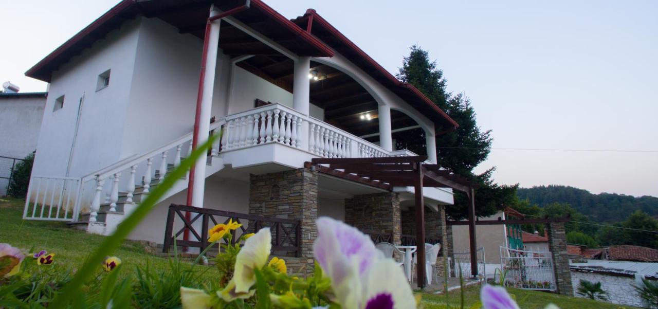 Villa Paradisos Likostomon Bagian luar foto