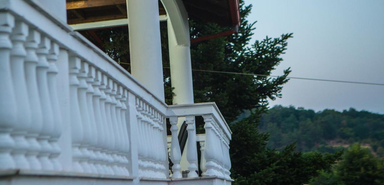 Villa Paradisos Likostomon Bagian luar foto