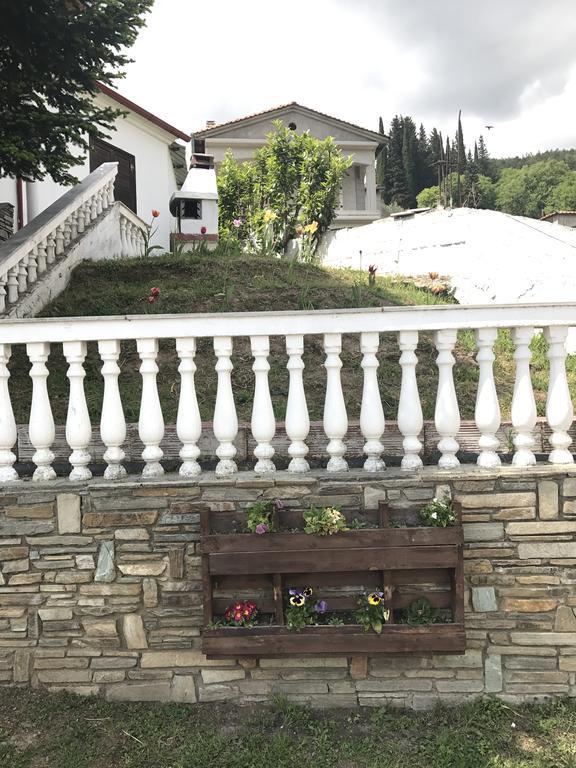 Villa Paradisos Likostomon Bagian luar foto